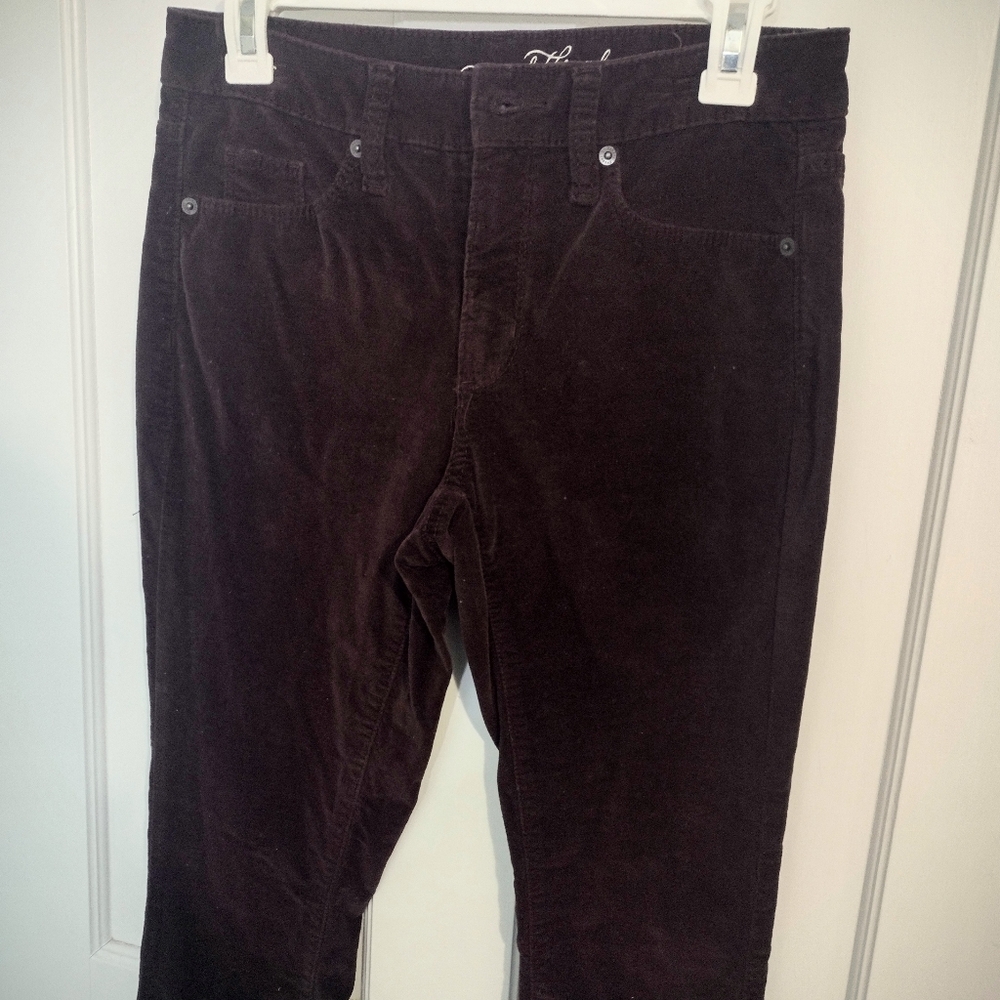 Women's Deep Purple Pants - Classic Straight Fit